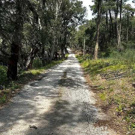 Apartment Pleine Nature 2pers - A3 Grimaud